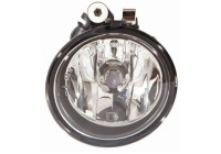 Fog light