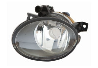 Fog light