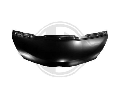 Rear fog lamp 6687497 Diederichs, Image 2