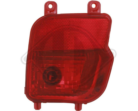 Rear fog light 4236497 Diederichs