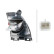 Tail light 2NR 009 774-091 Hella, Thumbnail 5