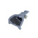 Headlight module