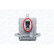Headlight module