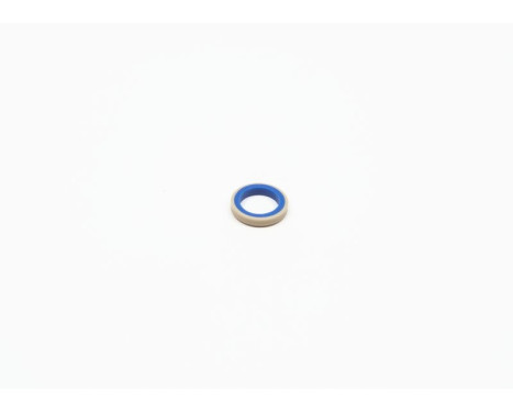 Seal, frame, headlight, Image 2