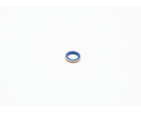 Seal, frame, headlight, Image 3