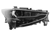 Double headlight front right 2773964 Van Wezel
