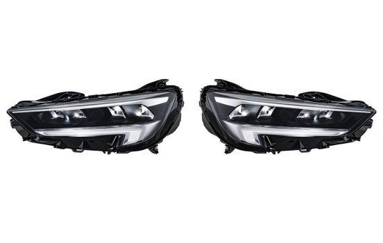 Headlamp set SET_1LX 354 882-031 Hella