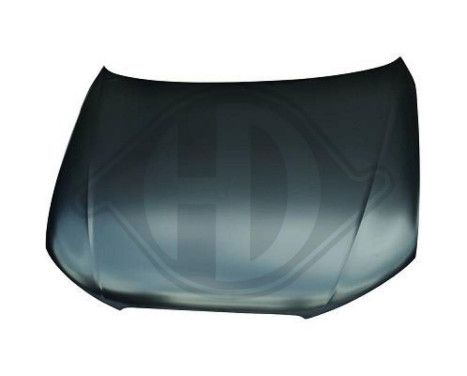 Headlight 1018981 Diederichs, Image 2