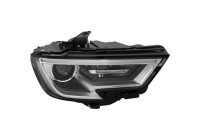 Headlight 1033186 Diederichs