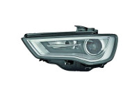 Headlight 1033983 Diederichs