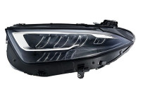 Headlight 1EX 015 619-811 Hella