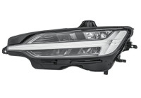 Headlight 1LX 013 502-931 Hella
