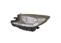 Headlight 212-11DWR-LDEM2 Depo