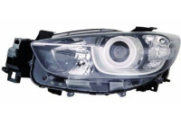 Headlight 216-1166L-LD-EM Depo