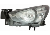 Headlight 216-1170R-LDEM2 Depo