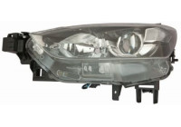 Headlight 216-1173L-LDEM2 Depo