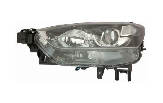 Headlight 216-1173L-LDEM2 Depo