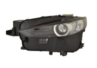 Headlight 216-1184LMLDEM2 Depo