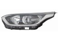 Headlight 223-1173LMLDEM2 Depo
