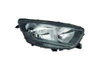 Headlight 3590980 Diederichs