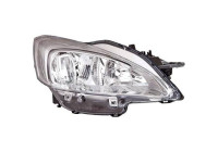 Headlight 4244080 Diederichs