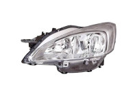 Headlight 4244081 Diederichs