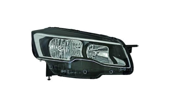 Headlight 4244182 Diederichs