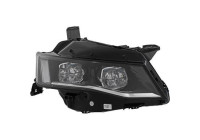 Headlight 4245082 Diederichs