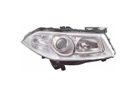 Headlight 4464182 Diederichs
