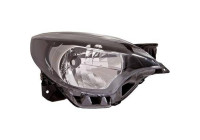 Headlight 4482081 Diederichs