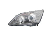 Headlight 5283881 Diederichs