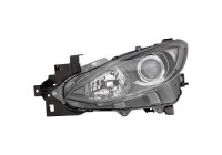 Headlight 5620081 Diederichs
