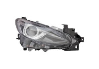 Headlight 5620082 Diederichs