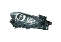 Headlight 5620181 Diederichs