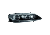 Headlight 5625280 Diederichs