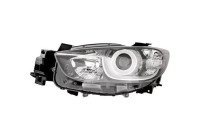 Headlight 5630081 Diederichs