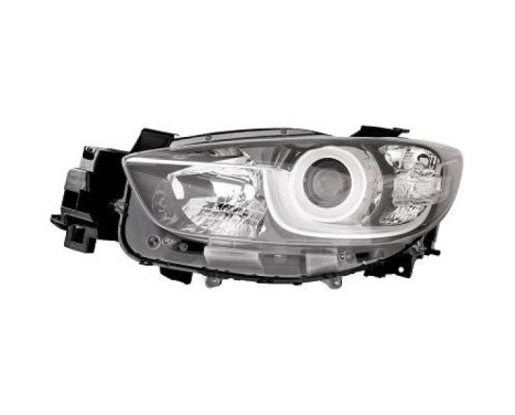 Headlight 5630081 Diederichs