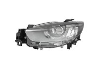 Headlight 5630181 Diederichs