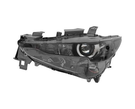 Headlight 5631081 Diederichs