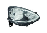 Headlight 6025181 Diederichs