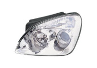 Headlight 6537881 Diederichs