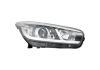 Headlight 6554080 Diederichs