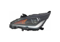 Headlight 6601081 Diederichs