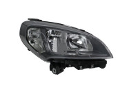 Headlight 661-1172RMLDEM7 Depo