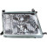 Headlight 6671882 Diederichs