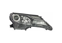 Headlight 6687480 Diederichs