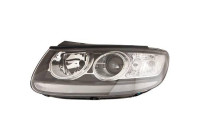 Headlight 6871181 Diederichs