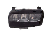 Headlight Priority Parts 4007880 Diederichs