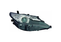 Headlight Priority Parts 6660081 Diederichs
