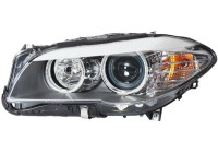 Headlight, right 1LL 010 131-041 Hella